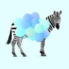 zebra met ballonnen blauw